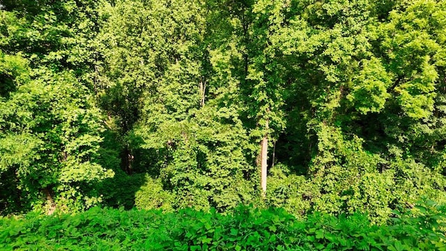 0 Balsam Slopes Rd, Sevierville, TN 37862