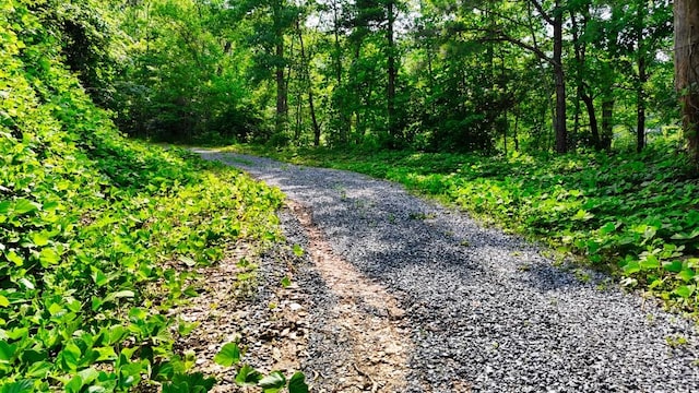 0 Balsam Slopes Rd, Sevierville, TN 37862