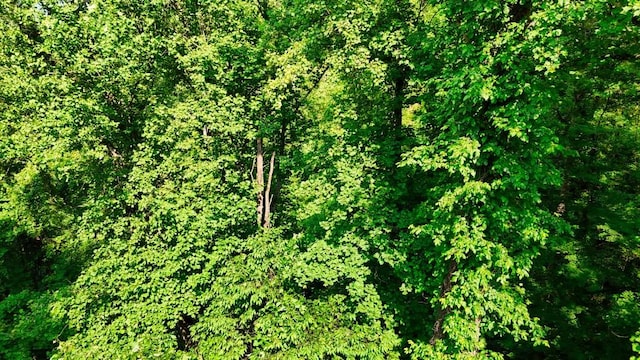 0 Balsam Slopes Rd, Sevierville, TN 37862