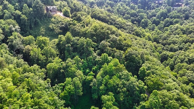 0 Balsam Slopes Rd, Sevierville, TN 37862
