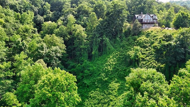 0 Balsam Slopes Rd, Sevierville, TN 37862