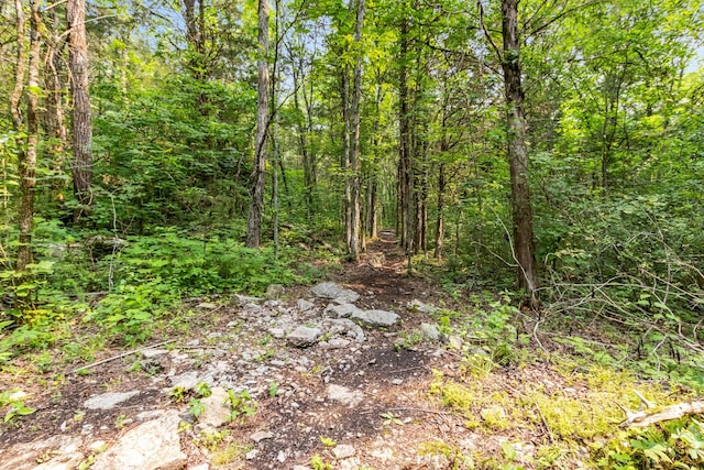 1049 Oregon Rd, Lascassas, TN 37085 - photo 16