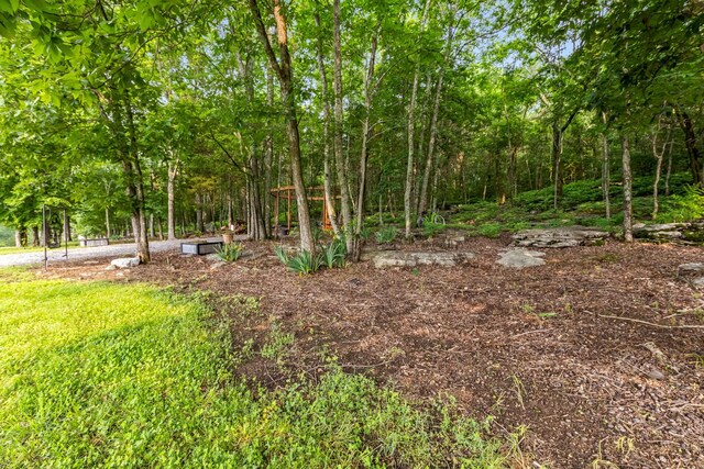 1049 Oregon Rd, Lascassas, TN 37085 - photo 21