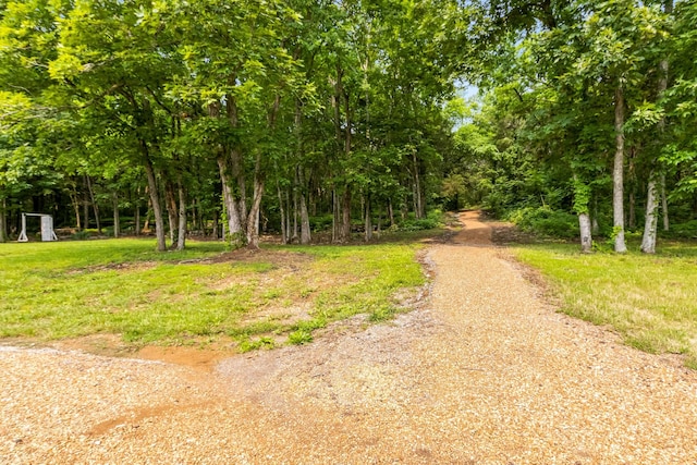 1049 Oregon Rd, Lascassas, TN 37085 - photo 10