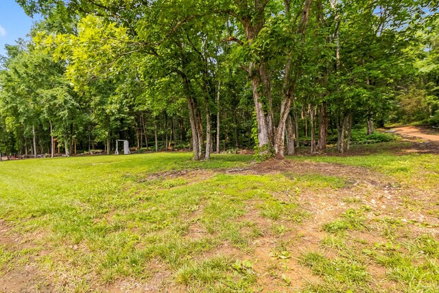 1049 Oregon Rd, Lascassas, TN 37085 - photo 9