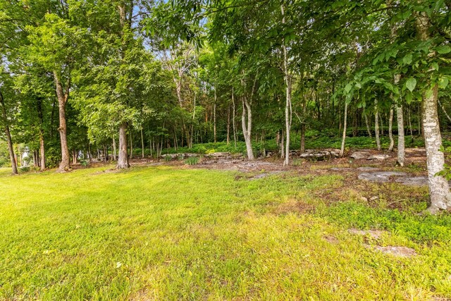 1049 Oregon Rd, Lascassas, TN 37085 - photo 14