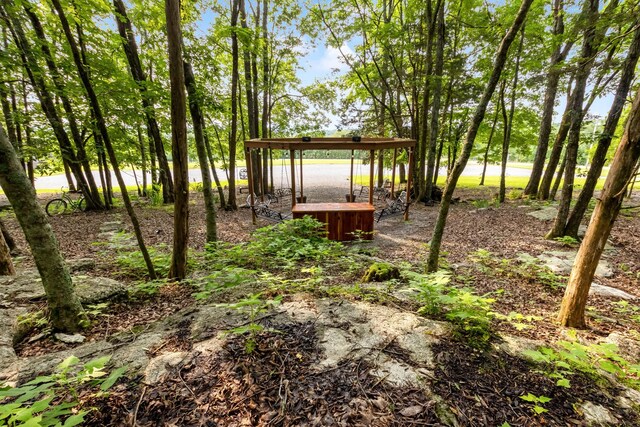 1049 Oregon Rd, Lascassas, TN 37085 - photo 24