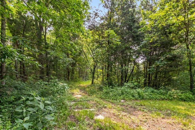 1049 Oregon Rd, Lascassas, TN 37085 - photo 15