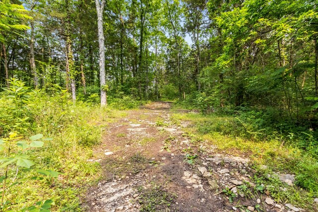 1049 Oregon Rd, Lascassas, TN 37085 - photo 17
