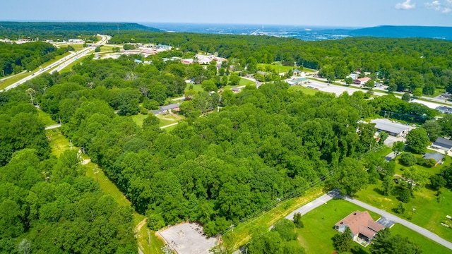 233 Central Ave S, Monteagle, TN 37356