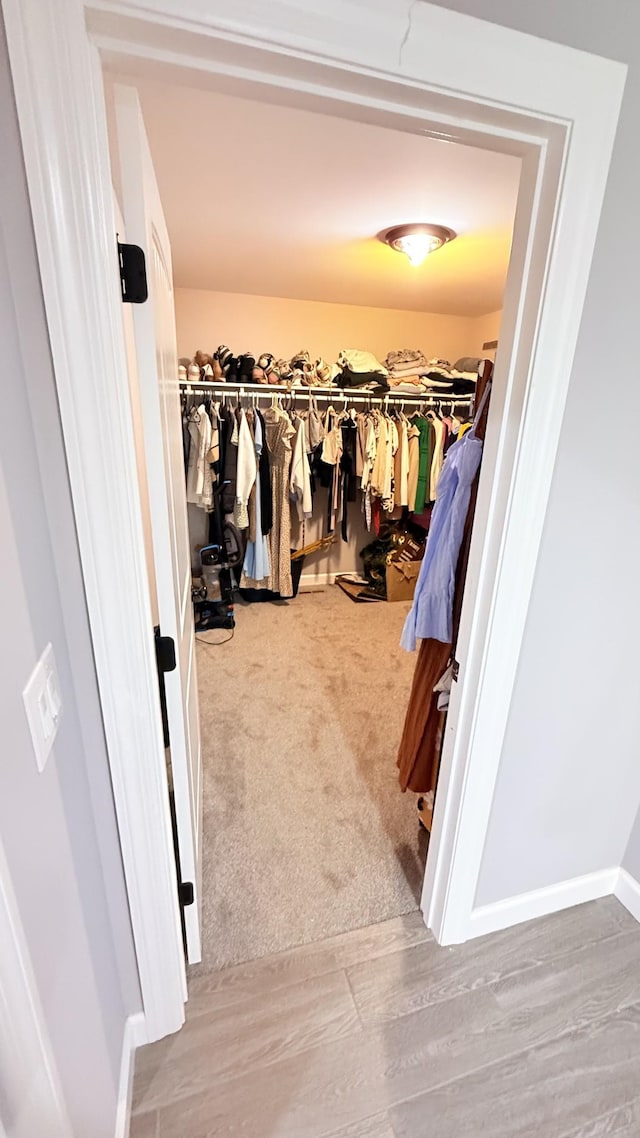 899 Sneed Blvd, Lafayette, TN 37083 - walk in closet with carpet floors