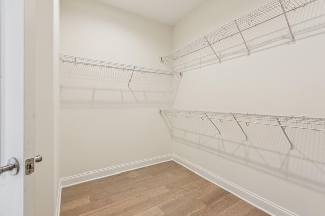 6807 Kew Gdn, Smyrna, TN 37167 - spacious closet with wood finished floors