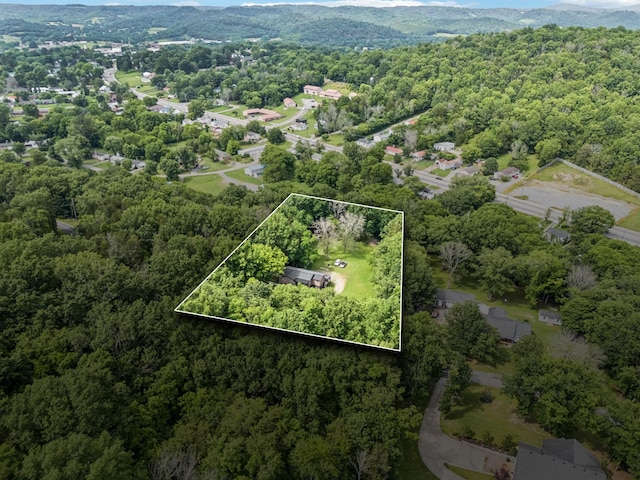 411 Tanglewood Dr, Woodbury, TN 37190 - photo 34