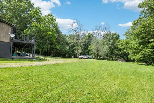 411 Tanglewood Dr, Woodbury, TN 37190 - photo 25