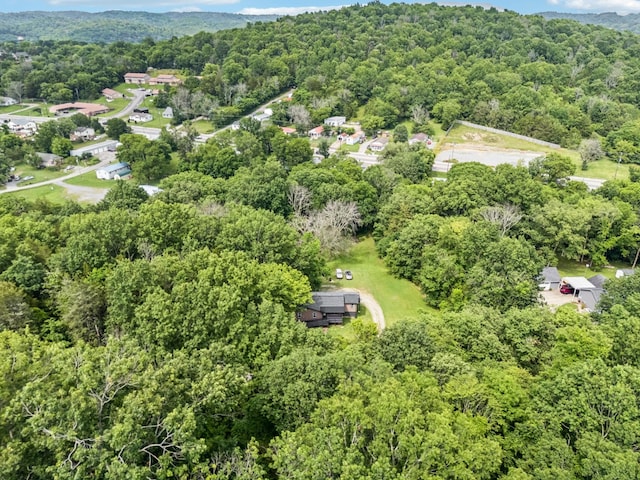 411 Tanglewood Dr, Woodbury, TN 37190 - photo 31