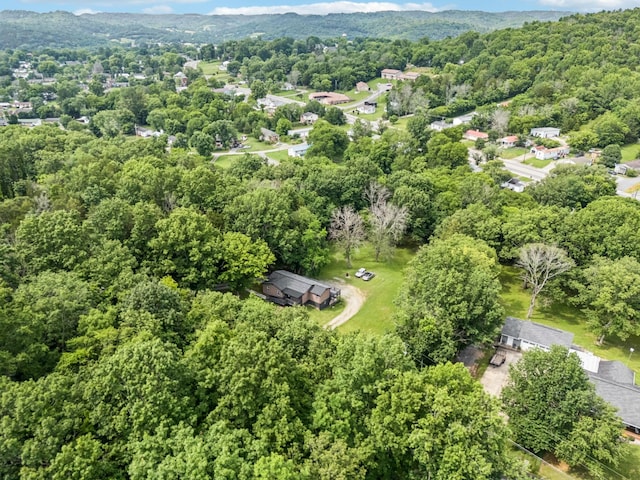 411 Tanglewood Dr, Woodbury, TN 37190 - photo 32