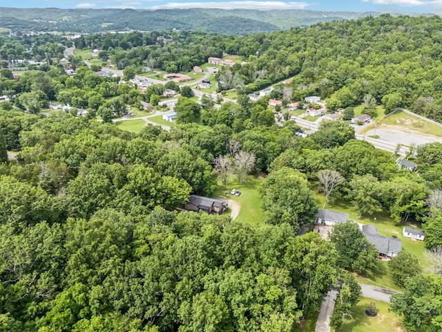 411 Tanglewood Dr, Woodbury, TN 37190 - photo 33