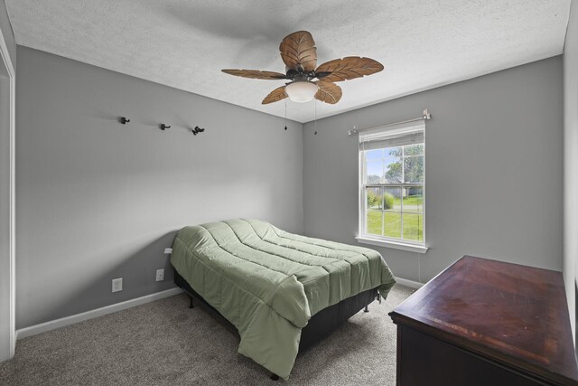 309 Sarah Ln, Portland, TN 37148 - photo 29