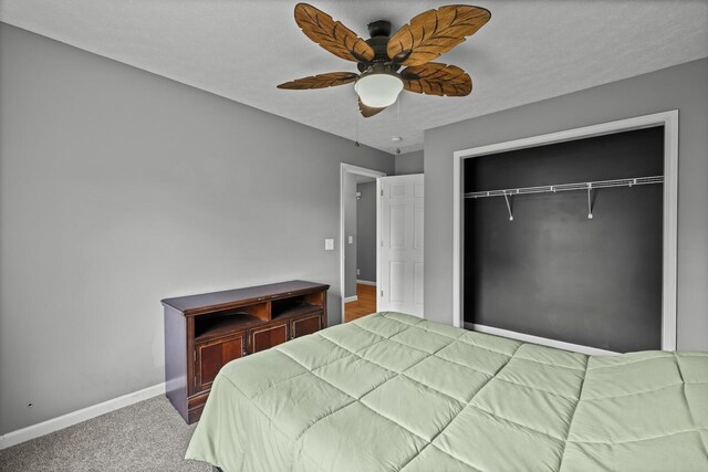 309 Sarah Ln, Portland, TN 37148 - photo 30