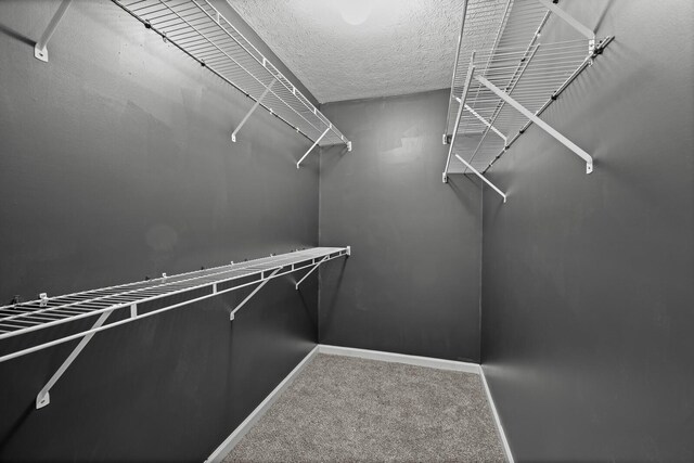 309 Sarah Ln, Portland, TN 37148 - photo 24