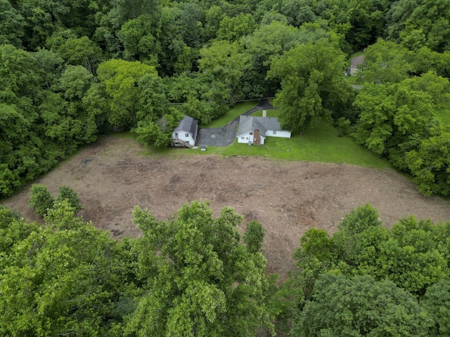5092 Seymour Hollow Rd, Whites Creek, TN 37189
