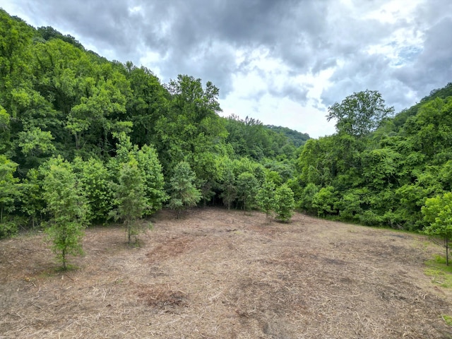 5092 Seymour Hollow Rd, Whites Creek, TN 37189
