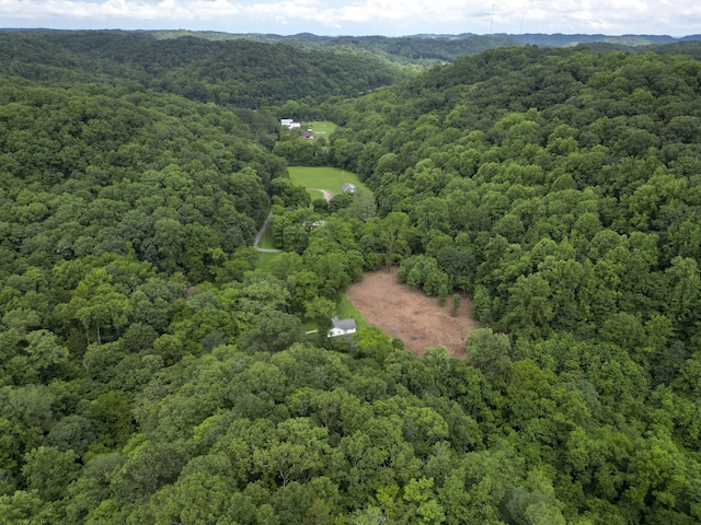 5092 Seymour Hollow Rd, Whites Creek, TN 37189