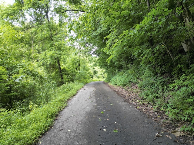5092 Seymour Hollow Rd, Whites Creek, TN 37189