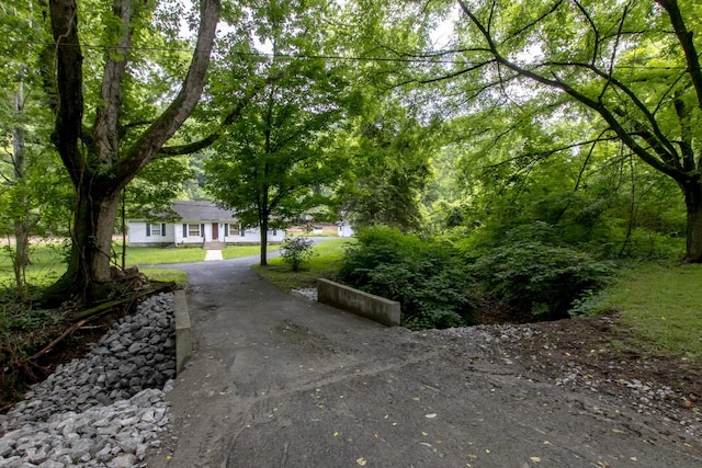 5092 Seymour Hollow Rd, Whites Creek, TN 37189