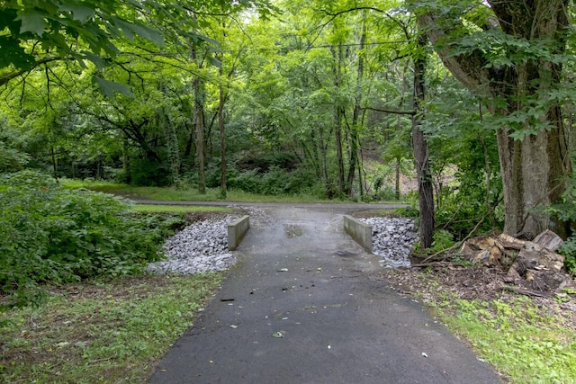 5092 Seymour Hollow Rd, Whites Creek, TN 37189