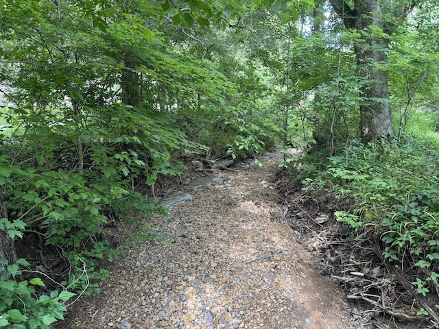 5092 Seymour Hollow Rd, Whites Creek, TN 37189