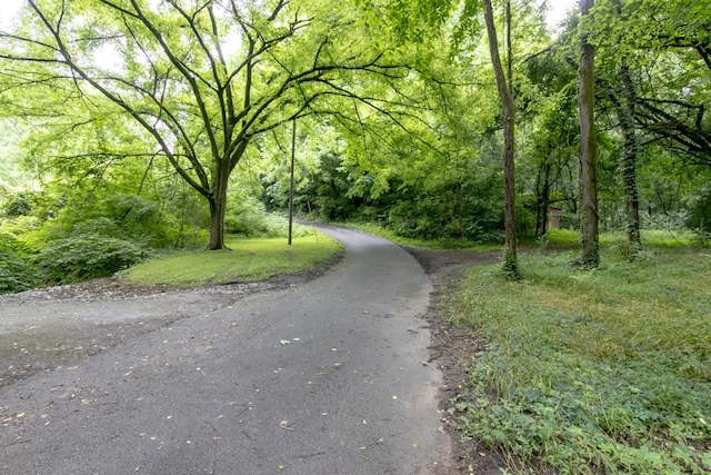5092 Seymour Hollow Rd, Whites Creek, TN 37189