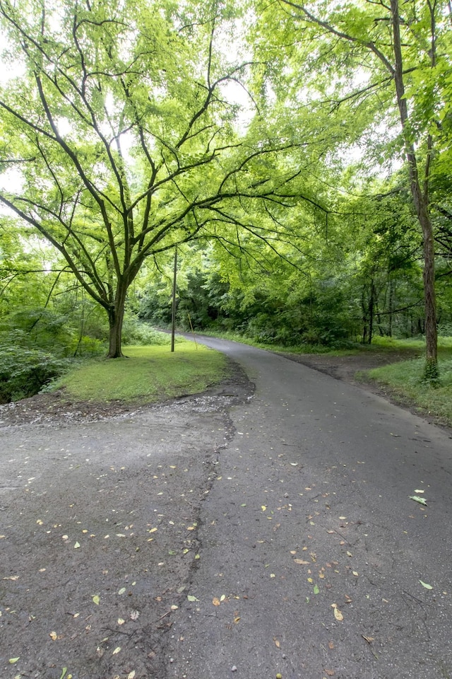 5092 Seymour Hollow Rd, Whites Creek, TN 37189