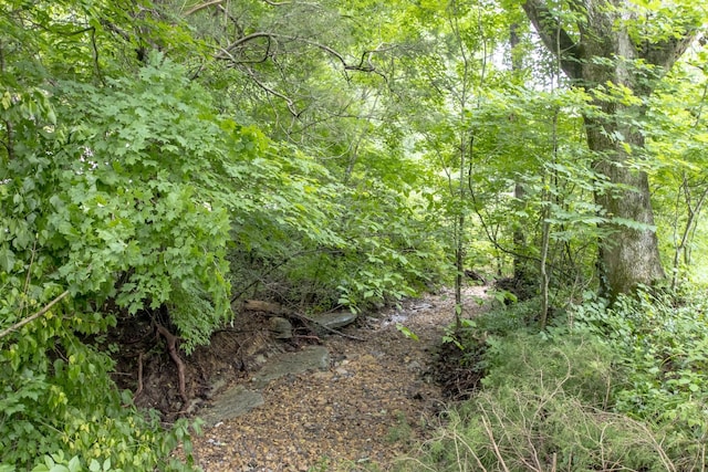 5092 Seymour Hollow Rd, Whites Creek, TN 37189