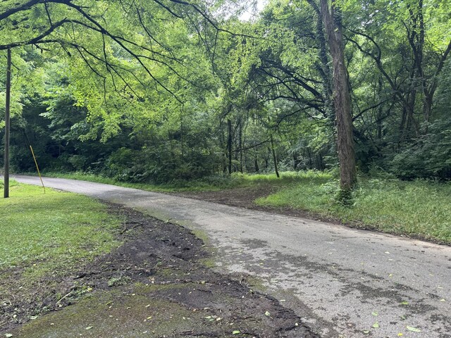 5092 Seymour Hollow Rd, Whites Creek, TN 37189