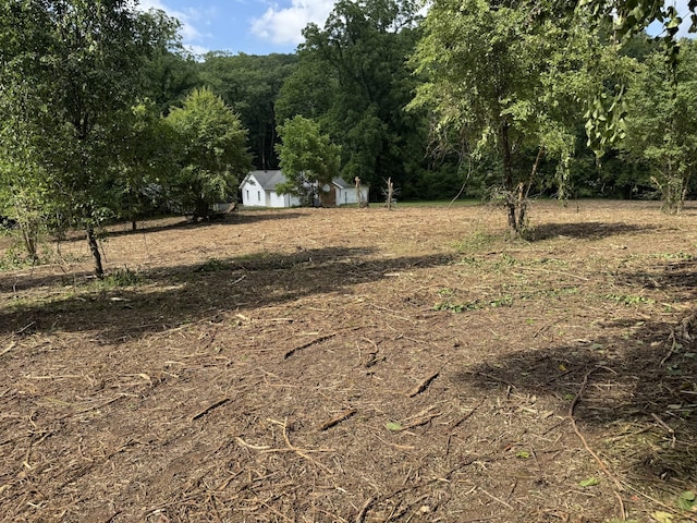 5092 Seymour Hollow Rd, Whites Creek, TN 37189 - photo 40
