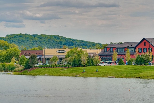 1322 Jewell Ave, Franklin, TN 37064 - water view