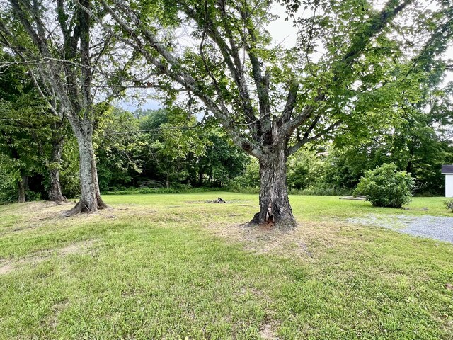 101 N Old Military Rd, Summertown, TN 38483 - photo 3