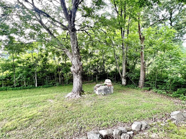 101 N Old Military Rd, Summertown, TN 38483 - photo 16