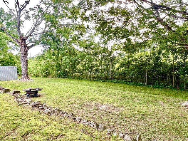 101 N Old Military Rd, Summertown, TN 38483 - photo 17