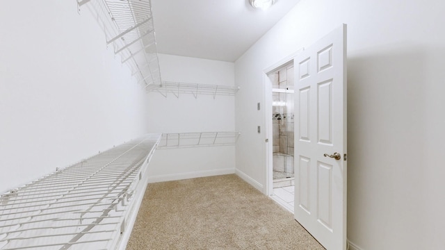 3325 Geneva Dr, Murfreesboro, TN 37128 - spacious closet with carpet