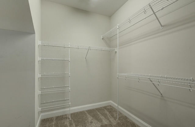 203 Eagles Talon Ct, Clarksville, TN 37040 - spacious closet with carpet flooring