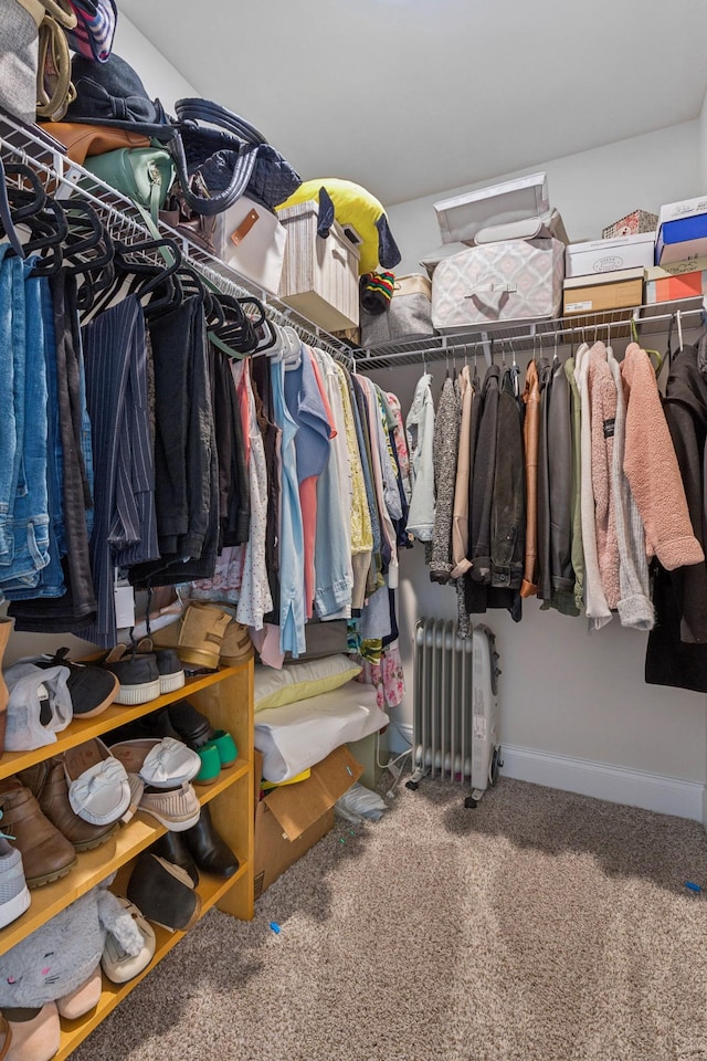 817 Arrington Way, Columbia, TN 38401 - spacious closet with radiator heating unit and carpet floors