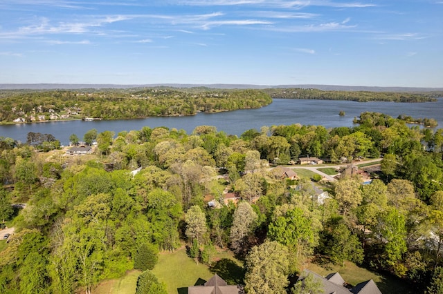6434 Waconda Point Rd, Harrison, TN 37341 - drone / aerial view of a nearby body of water and a heavily wooded area