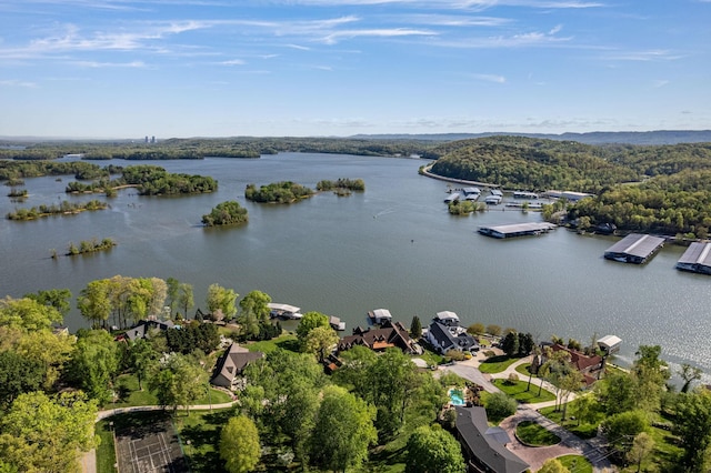 6434 Waconda Point Rd, Harrison, TN 37341 - drone / aerial view of a nearby body of water