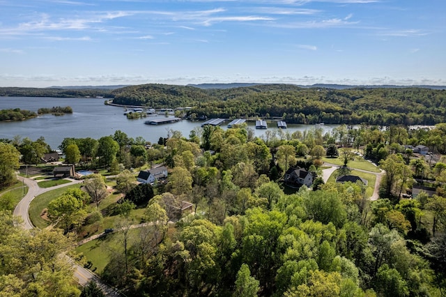 6434 Waconda Point Rd, Harrison, TN 37341 - aerial view of property's location featuring a heavily wooded area and a nearby body of water