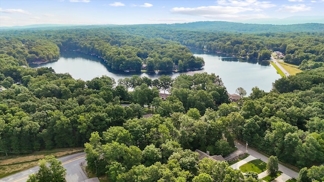 120 Lakeview Dr, Crossville, TN 38558 - photo 9