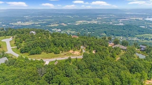 220 Bear Crawl Rd Unit Rb 28, Jasper, TN 37347 - aerial overview of property's location with a forest