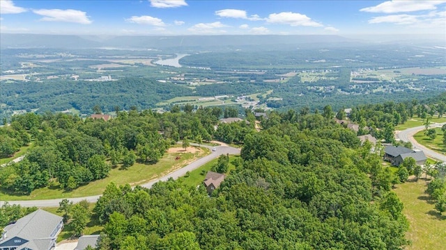 220 Bear Crawl Rd Unit Rb 28, Jasper, TN 37347 - bird's eye view of a heavily wooded area