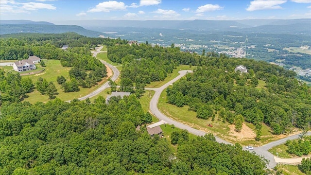 220 Bear Crawl Rd Unit Rb 28, Jasper, TN 37347 - drone / aerial view of a mountain backdrop